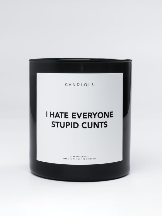 'I hate everyone stupid ****' candle
